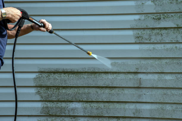 Best Solar Panel Cleaning  in Dixon, MO